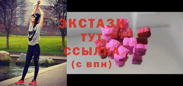 крисы Дмитриев