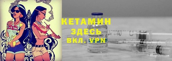 крисы Дмитриев