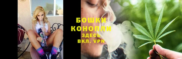 крисы Дмитриев