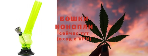 крисы Дмитриев