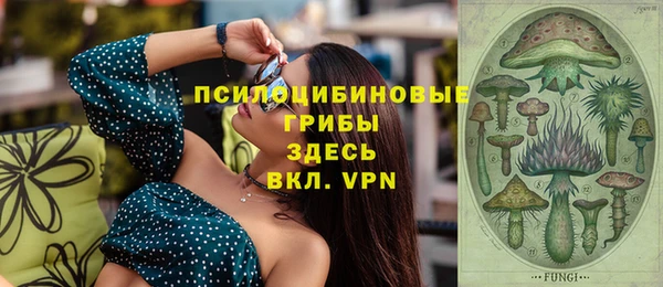 прущий лед Дмитровск