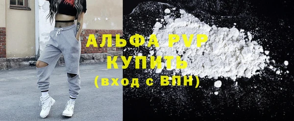 амф Гусь-Хрустальный