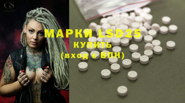 крисы Дмитриев