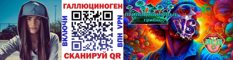 закладка  Иланский  Псилоцибиновые грибы Psilocybe 